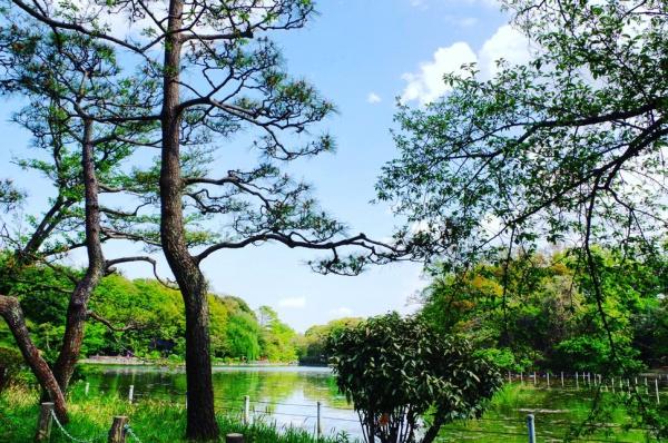 練馬区上石神井南町の土地