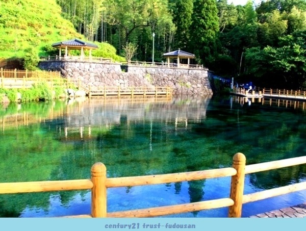 三鷹市中原2丁目の新築一戸建(丸池公園)