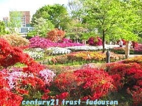 練馬区桜台２丁目の土地(平成つつじ公園)