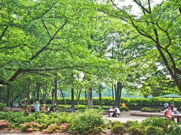練馬区早宮2丁目の中古一戸建て(城北中央公園)