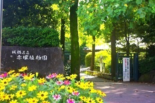 板橋区徳丸8丁目の中古一戸建て(赤塚植物園)