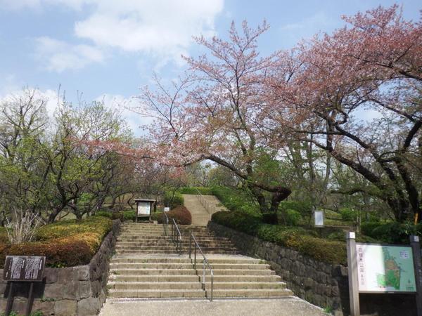 杉並区永福1丁目の新築一戸建(羽根木公園)