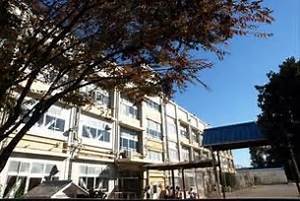 練馬区東大泉3丁目の土地(練馬区立大泉小学校)