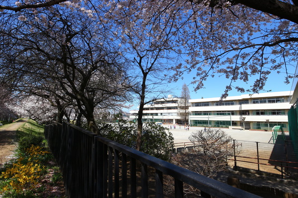 西東京市新町5丁目の土地(西東京市立上向台小学校)