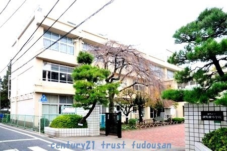 練馬区早宮4丁目の新築一戸建(練馬区立練馬東小学校)