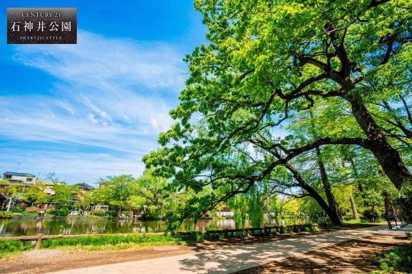 練馬区下石神井6丁目の土地(東京都立石神井公園)