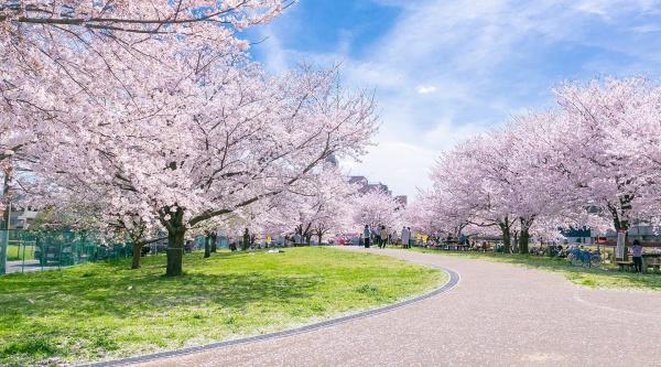 練馬区羽沢２丁目の土地