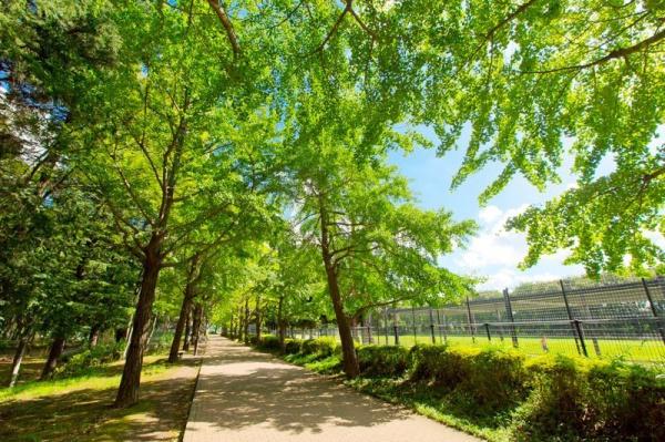 練馬区羽沢２丁目の土地