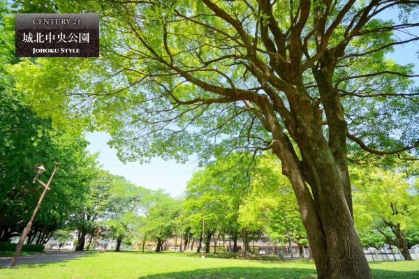 練馬区羽沢２丁目の土地