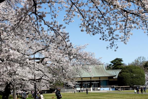 西東京市向台町６丁目の中古一戸建て