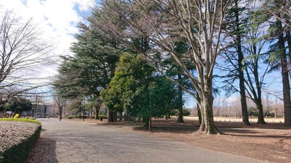 西東京市向台町６丁目の中古一戸建て