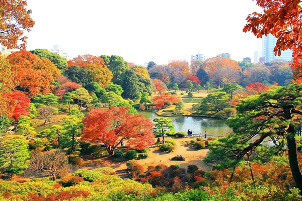 豊島区巣鴨4丁目の土地(都立六義園)
