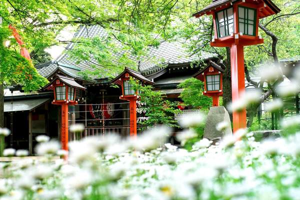 世田谷区野毛１丁目の新築一戸建(等々力不動尊)