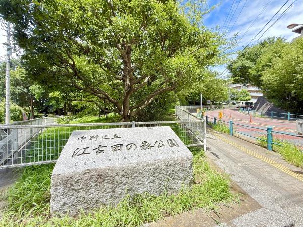 グランドメゾン江古田の杜(江古田の森公園)