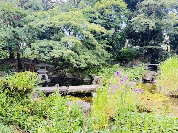 杉並区天沼２丁目の土地