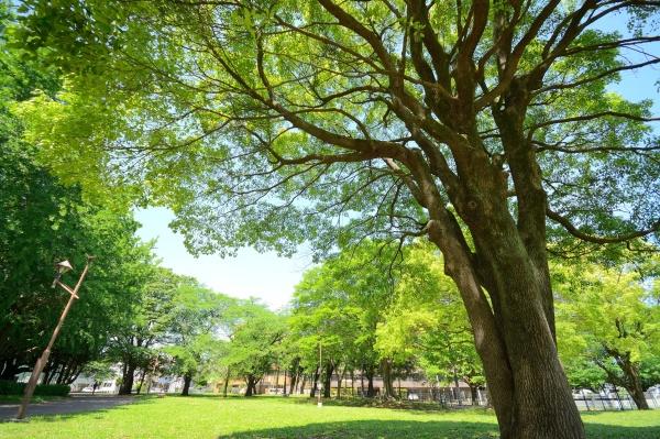 練馬区羽沢２丁目の土地