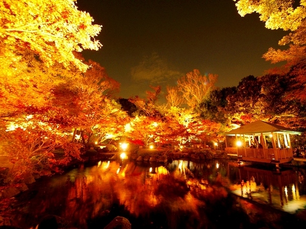 杉並区高井戸東４丁目の新築一戸建(大田黒公園)