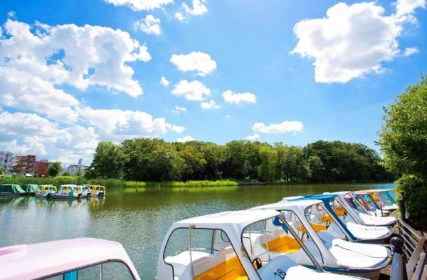 練馬区高野台３丁目の土地