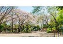 練馬区桜台６丁目の土地(高稲荷公園)