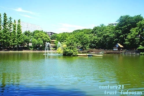 板橋区前野町６丁目の土地(見次公園)