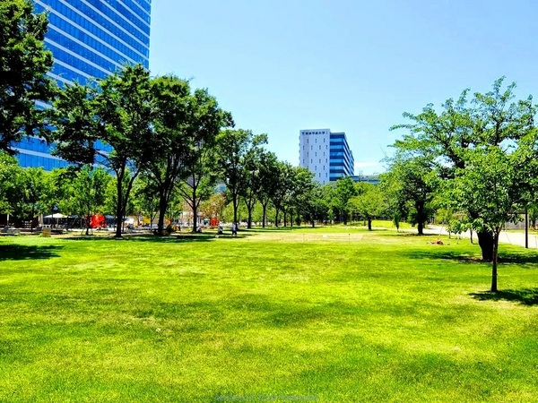 中野区本町６丁目の新築一戸建(中野区立中野四季の森公園)