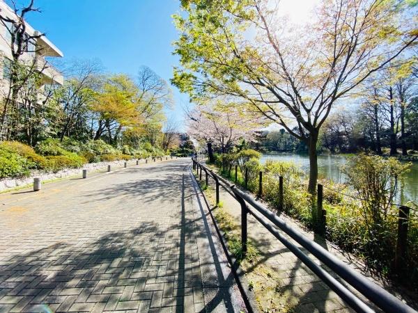 練馬区石神井台３丁目の新築一戸建