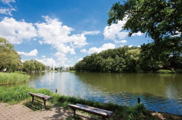 練馬区石神井台３丁目の新築一戸建