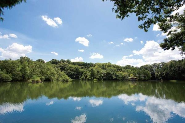 練馬区石神井台３丁目の新築一戸建