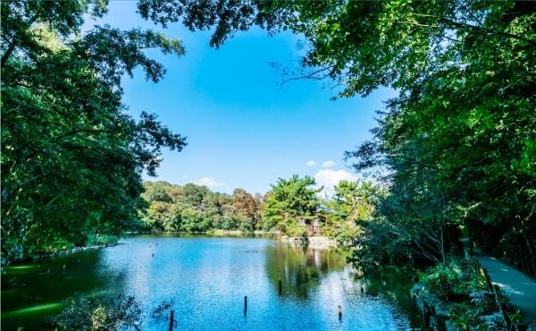 練馬区石神井台３丁目の新築一戸建