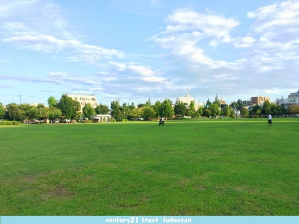 杉並区上井草４丁目の新築一戸建(杉並区立桃井原っぱ公園)