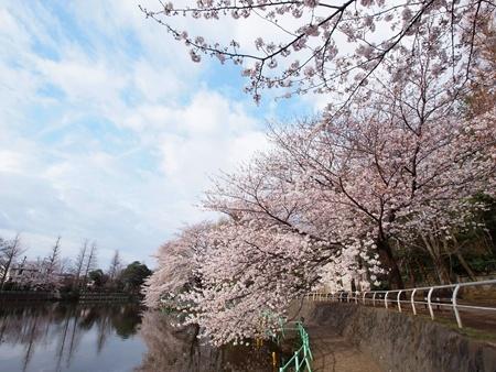 練馬区石神井台７丁目の新築一戸建