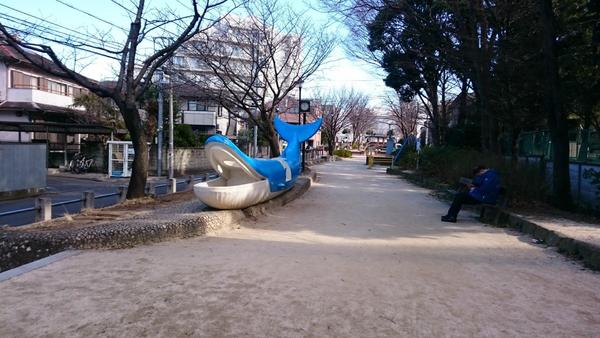 中野区弥生町５丁目の新築一戸建(玉川上水公園)