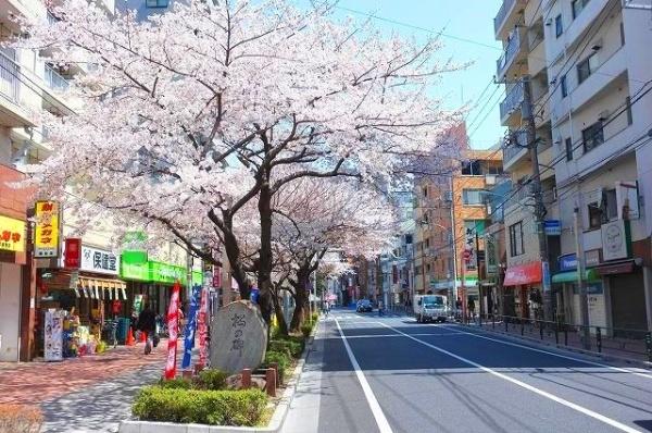 練馬区桜台１丁目の売土地