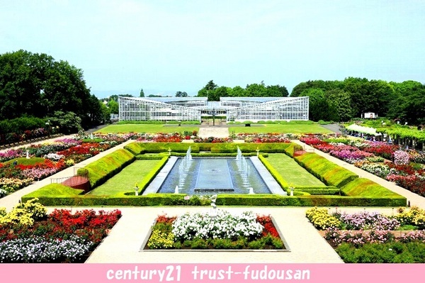 ペガサスマンション三鷹新川(神代植物公園)