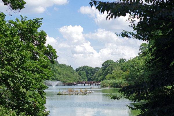 杉並区久我山５丁目の土地(井の頭恩賜公園)