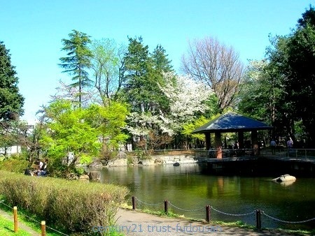中野区中央３丁目の新築一戸建(蚕糸の森公園)