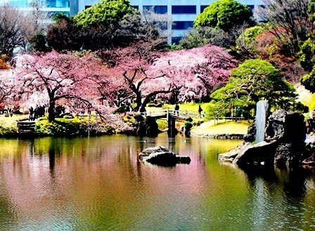 ザ・パークハウス市谷甲良町(小石川後楽園)