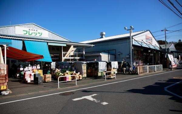 練馬区谷原５丁目の新築一戸建(新鮮市場フレッツ)
