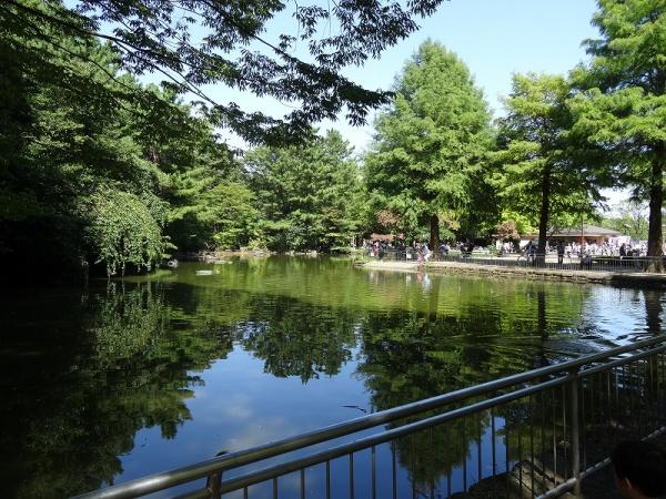 練馬区谷原５丁目の新築一戸建