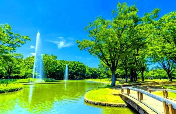 ハイネスロフティ(都立代々木公園)