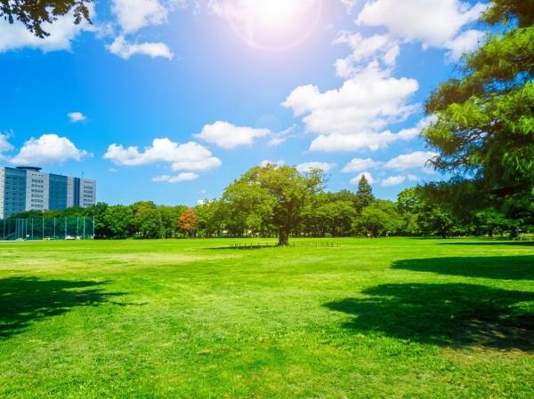 西東京市東伏見５丁目の新築一戸建
