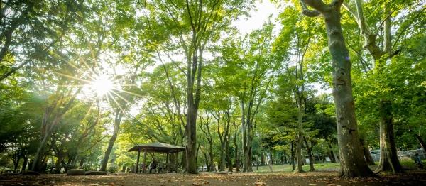 世田谷区北烏山７丁目の新築一戸建