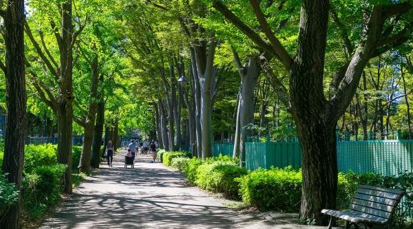 練馬区桜台５丁目の土地