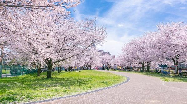 練馬区桜台５丁目の土地