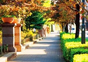 練馬区桜台５丁目の売土地