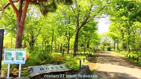 杉並区高井戸西２丁目の新築一戸建(区立柏の宮公園)