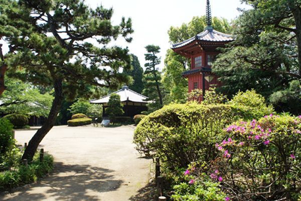 豊島区長崎６丁目の新築一戸建(哲学堂公園)