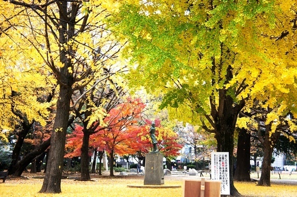 板橋区西台２丁目の土地(板橋区平和公園)