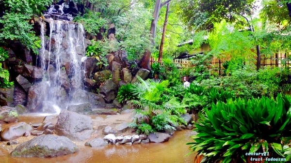 板橋区板橋３丁目の新築一戸建(名主の滝公園)