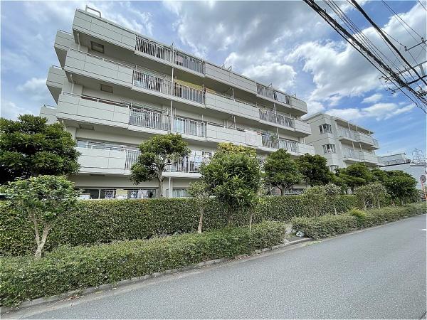 いづみハイツ柴又